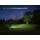 Fenix HL17R LED Leichtgewichts-Stirnlampe mit Magnet schwarz