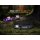 Fenix HM55R LED Stirnlampe