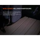 Fenix HM55R LED Stirnlampe  nebula - deutsche Version