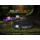 Fenix HM55R LED Stirnlampe  nebula - deutsche Version