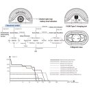 Fenix CL20R Pro LED Campingleuchte Schwarz