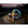Fenix HM61R V3.0 LED Stirnlampe mit LiIon Akku