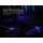 Fenix LR50R V2.0 LED Taschenlampe