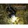Fenix HM75R Pro Magnesium Mulit-Led Stirnlampe
