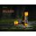 Fenix ARB-L18-4000U 18650 LiIon Akku USB-aufladbar 4000mAh Blister