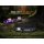 Fenix HM55R LED Stirnlampe  nebula - deutsche Version Verpackung schwarz englische Version