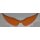 Swisseye Stingray M/P Ersatzglas oder Gläser - Orange